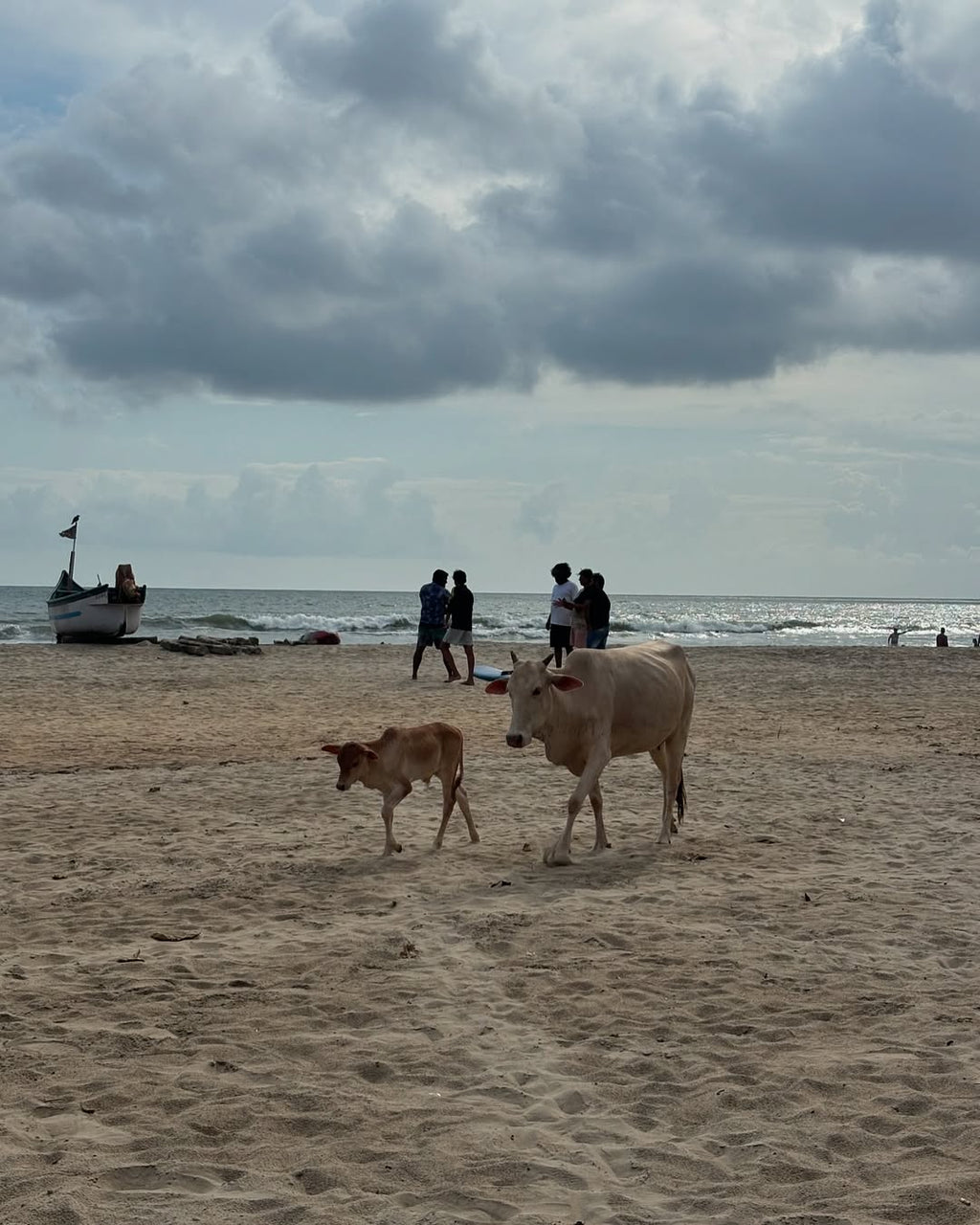Surfing with Goa Surf School at Arambol beach