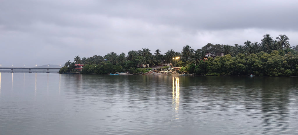 45 minute curated cruise by Konkan Explorers