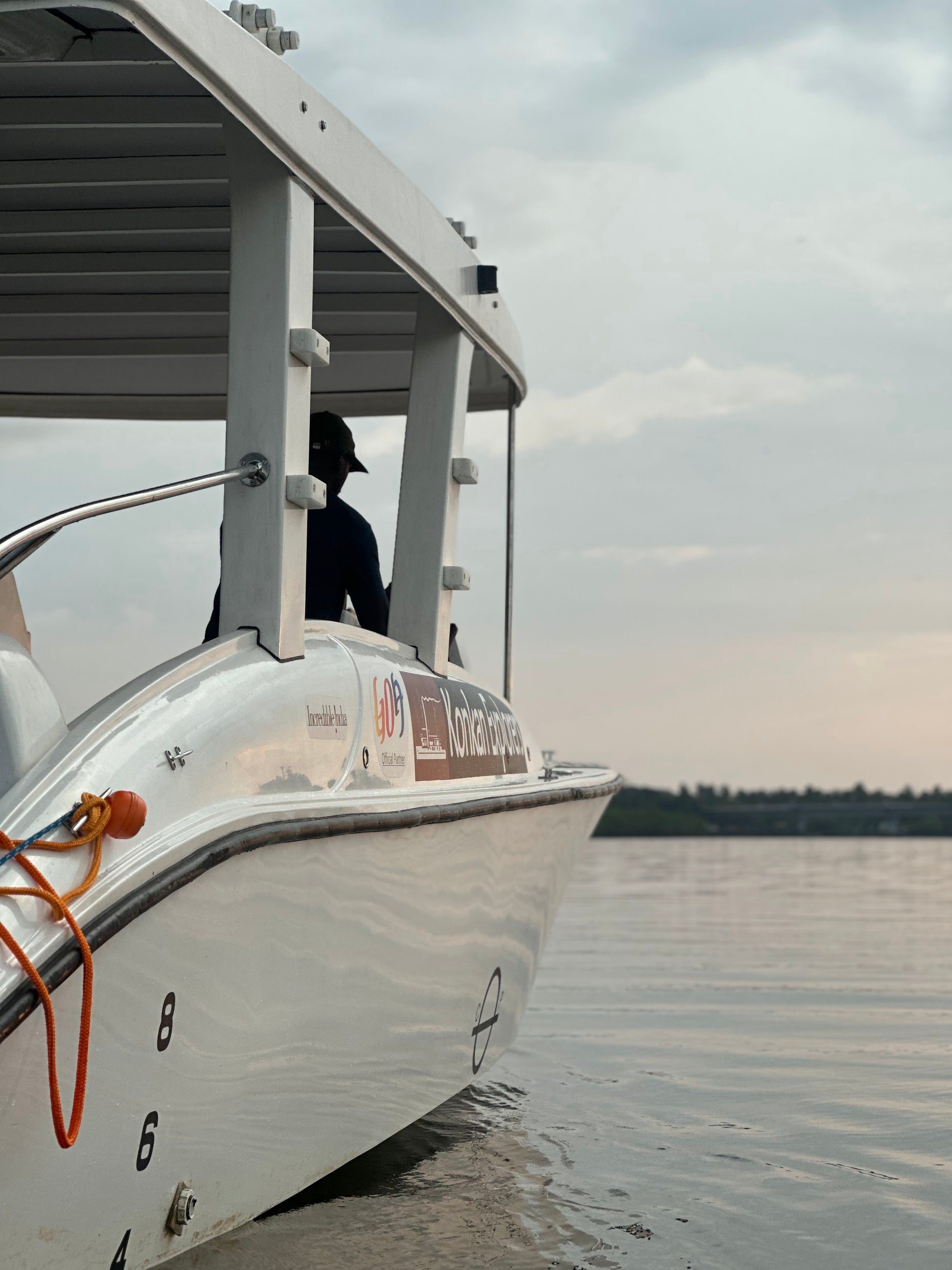 1.5 hours Cruise and Kayaking Combo