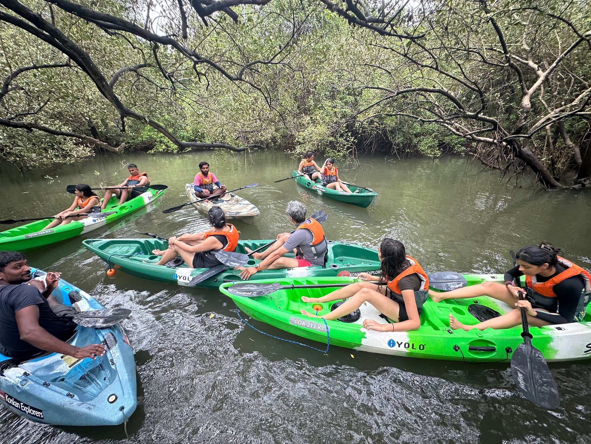 1.5 hours Cruise and Kayaking Combo