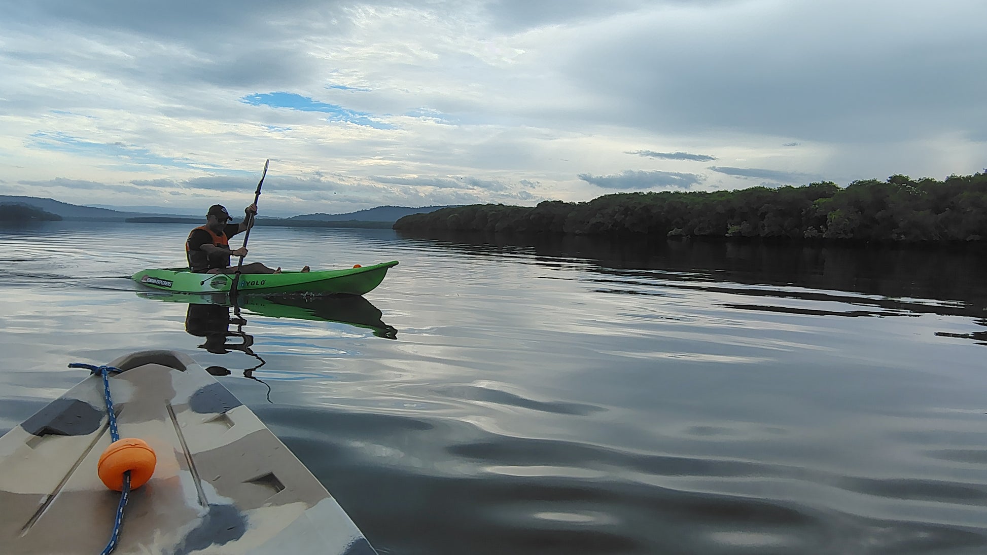 1.5 hours Cruise and Kayaking Combo