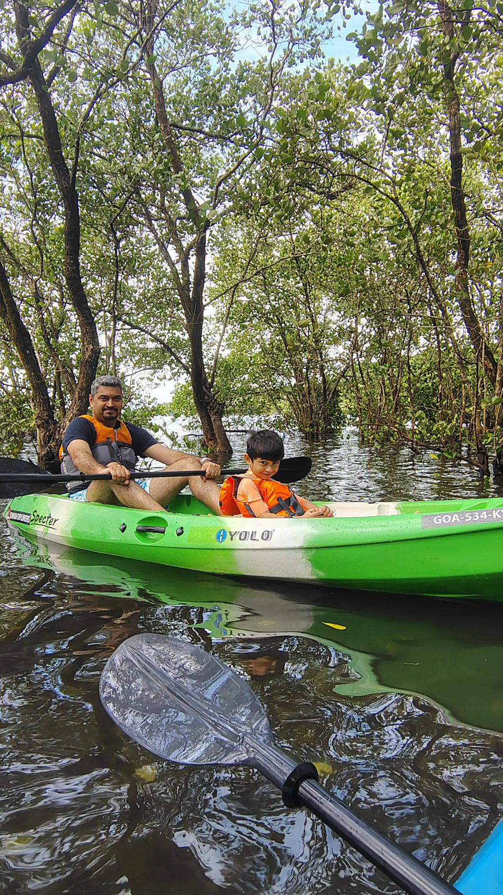 1.5 hours Cruise and Kayaking Combo