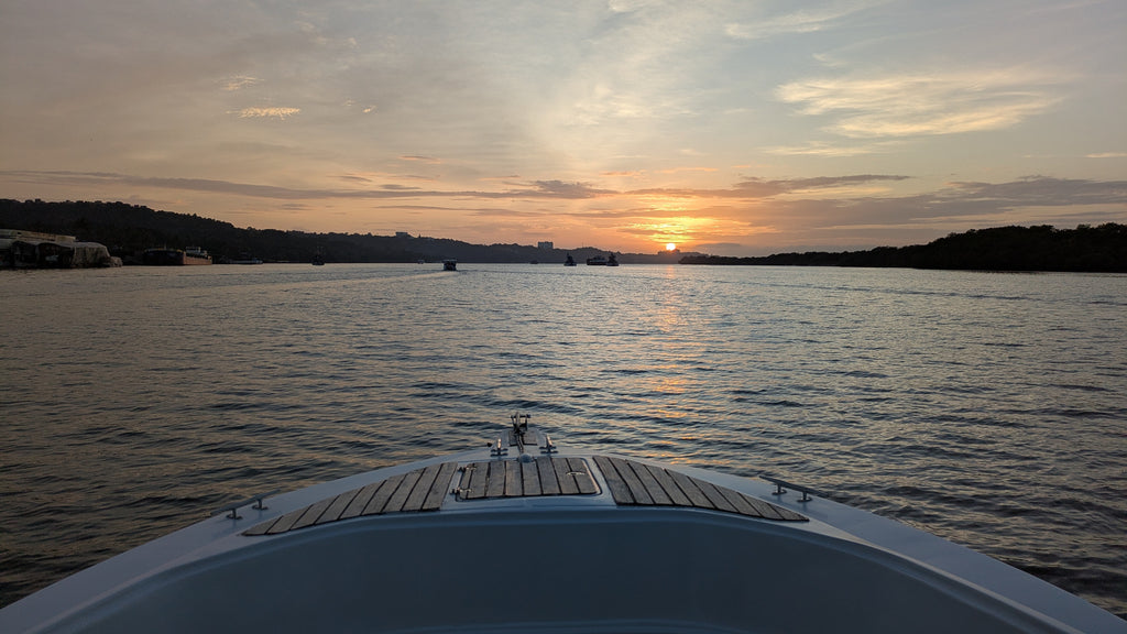 1.5 hours Cruise and Kayaking Combo