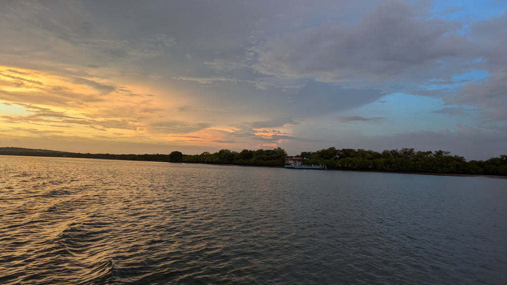 45 minute curated cruise by Konkan Explorers