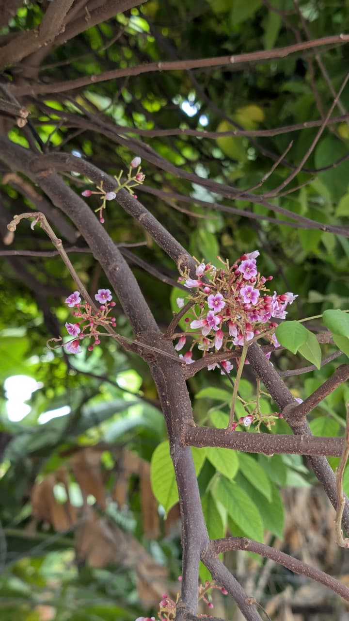 Kitchen Literature 2.0