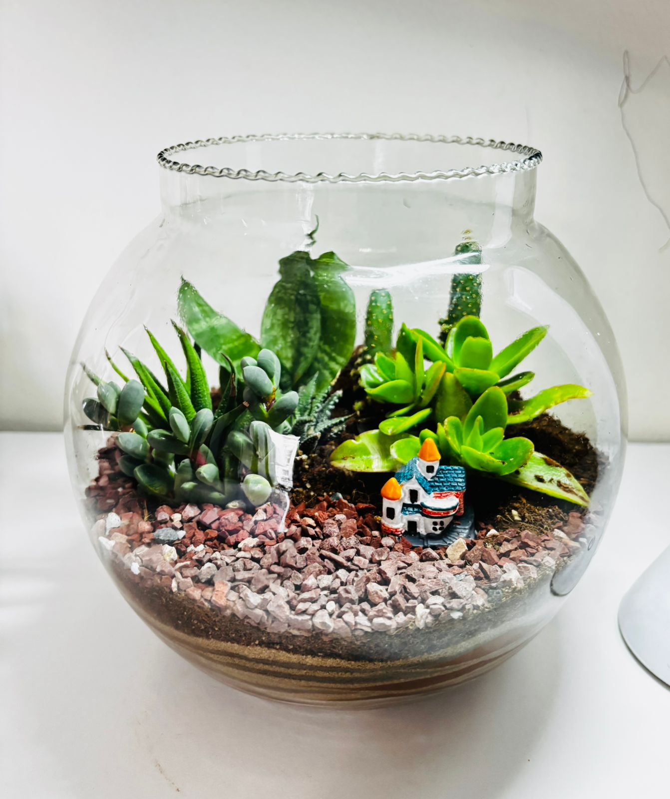 Terrarium making Session