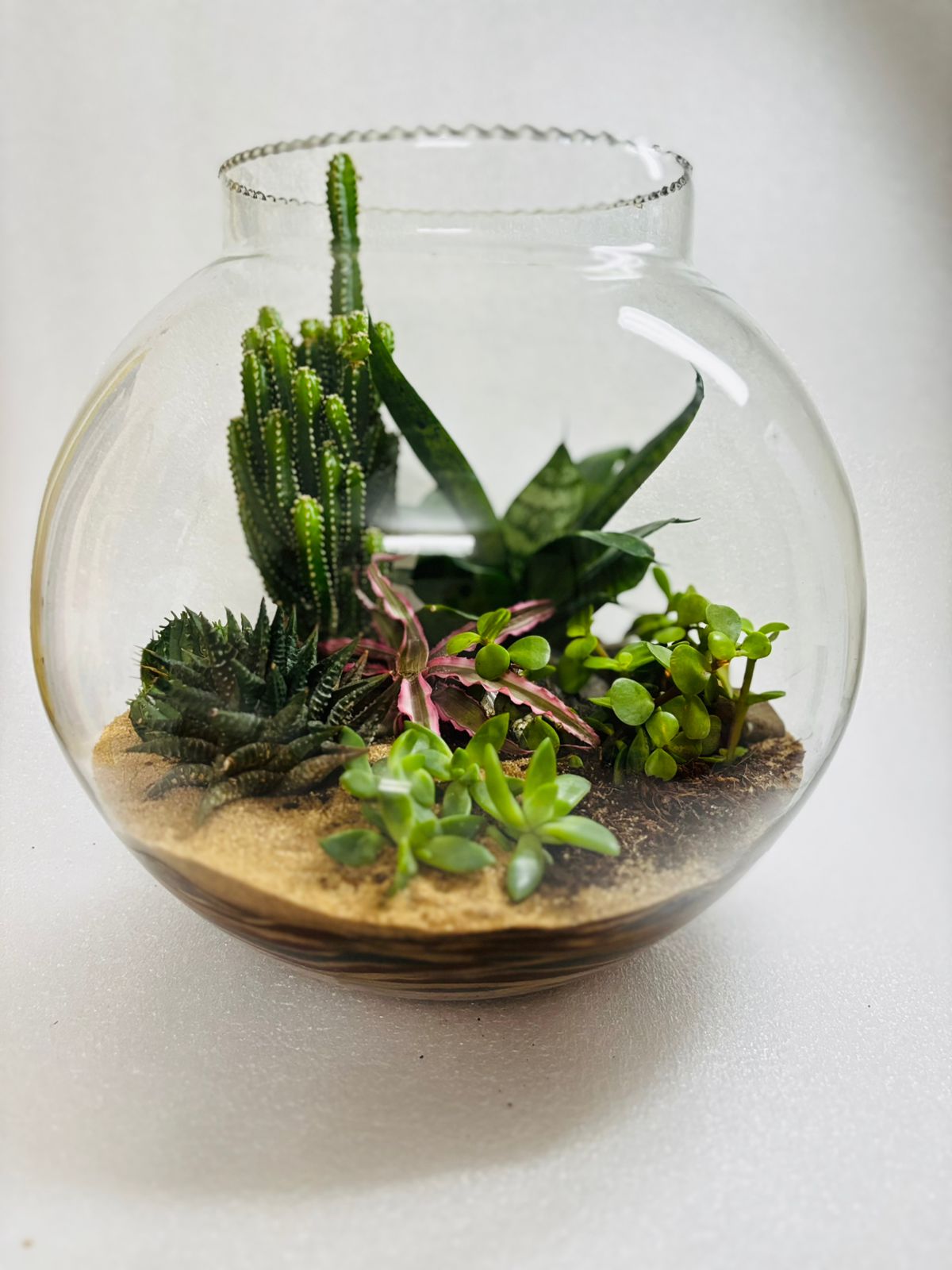 Terrarium making Session