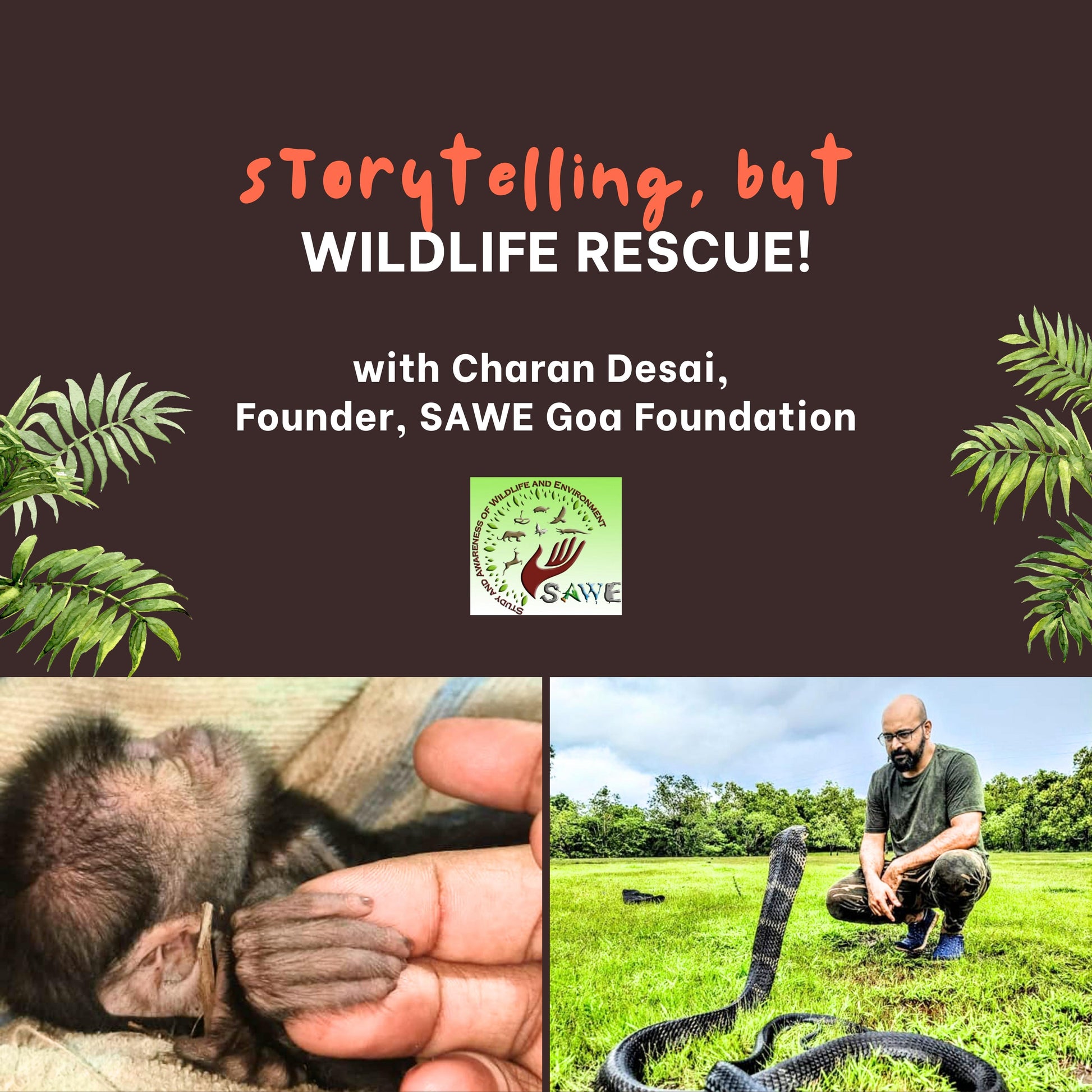 Storytelling, But Wildlife Rescue