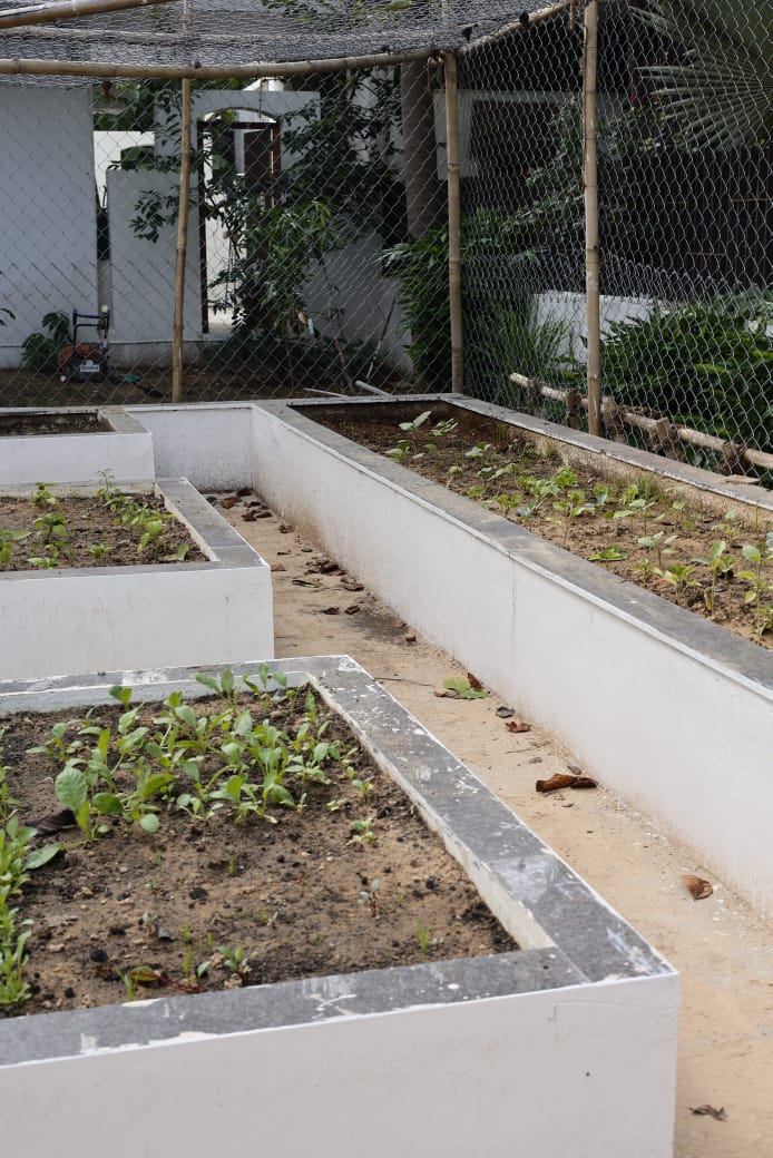 Kitchen Literature 2.0