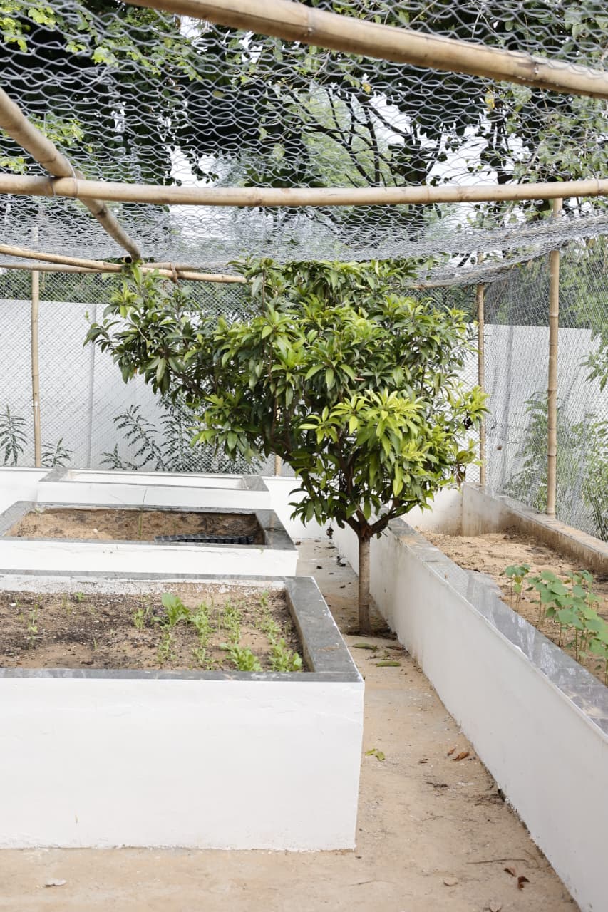 Kitchen Literature 2.0