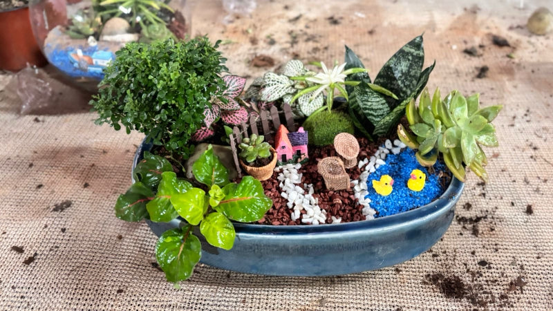 Mini Garden Making Workshop with SafeMind Studio