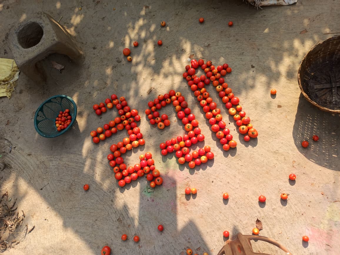 Eco-Lettering workshop