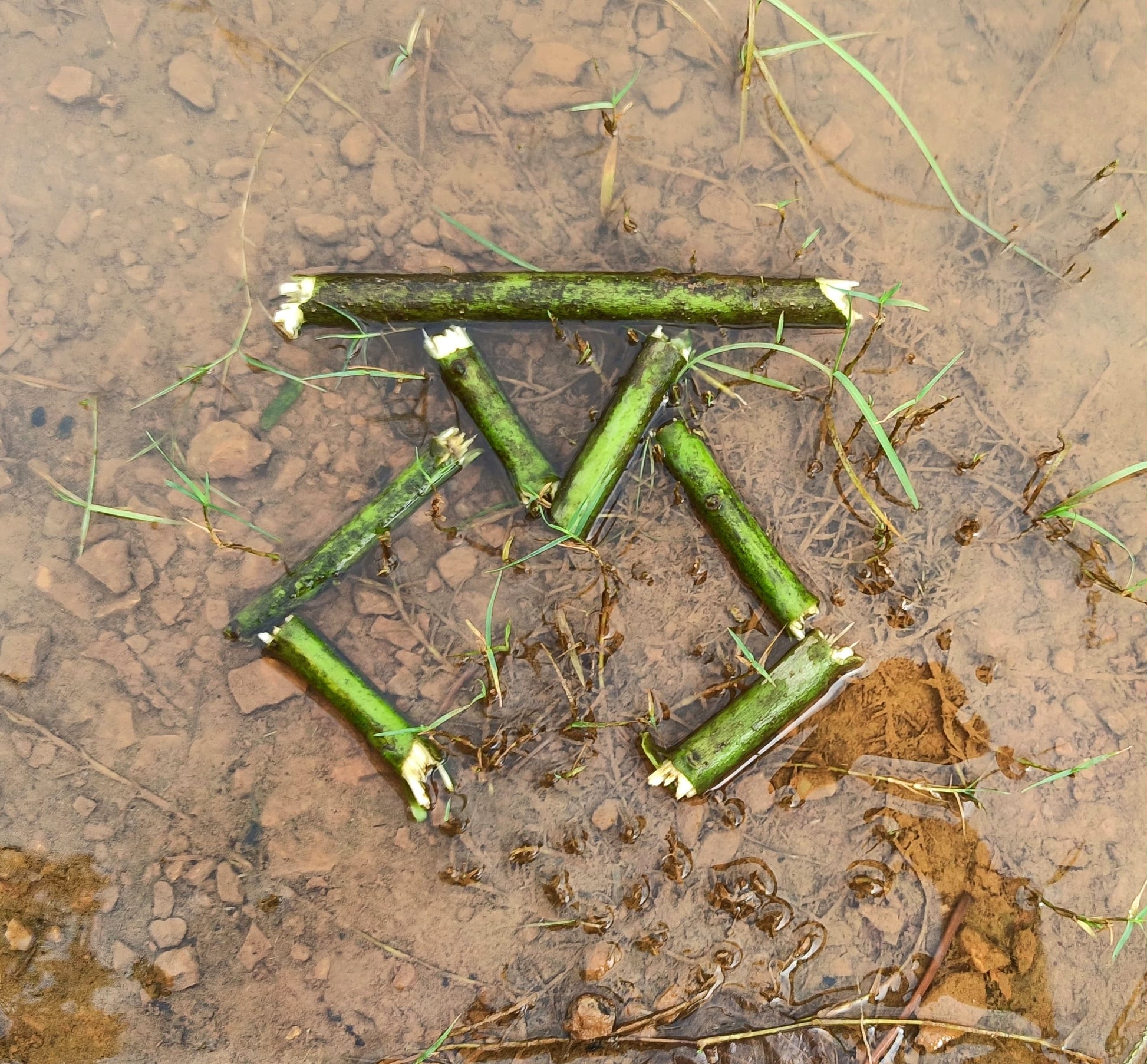 Eco-Lettering workshop